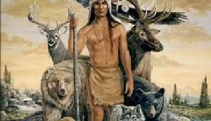 Meet your power animals in the comfort of your own home.